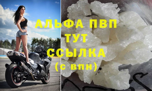 шишки Богородицк